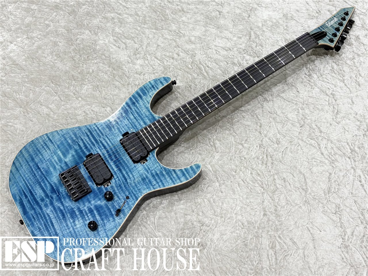 楽天市場】【ESP直営店】【即納可能】O.Z.Y Takamiy's Guitar [THE