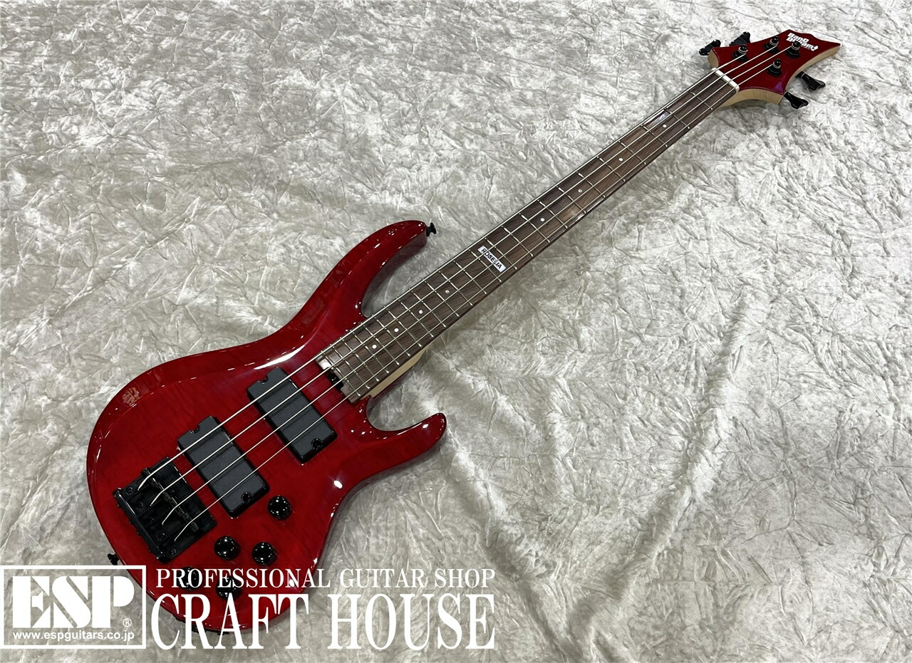 楽天市場】【ESP直営店】【ご予約商品】【ESP×BanG Dream!(バンドリ