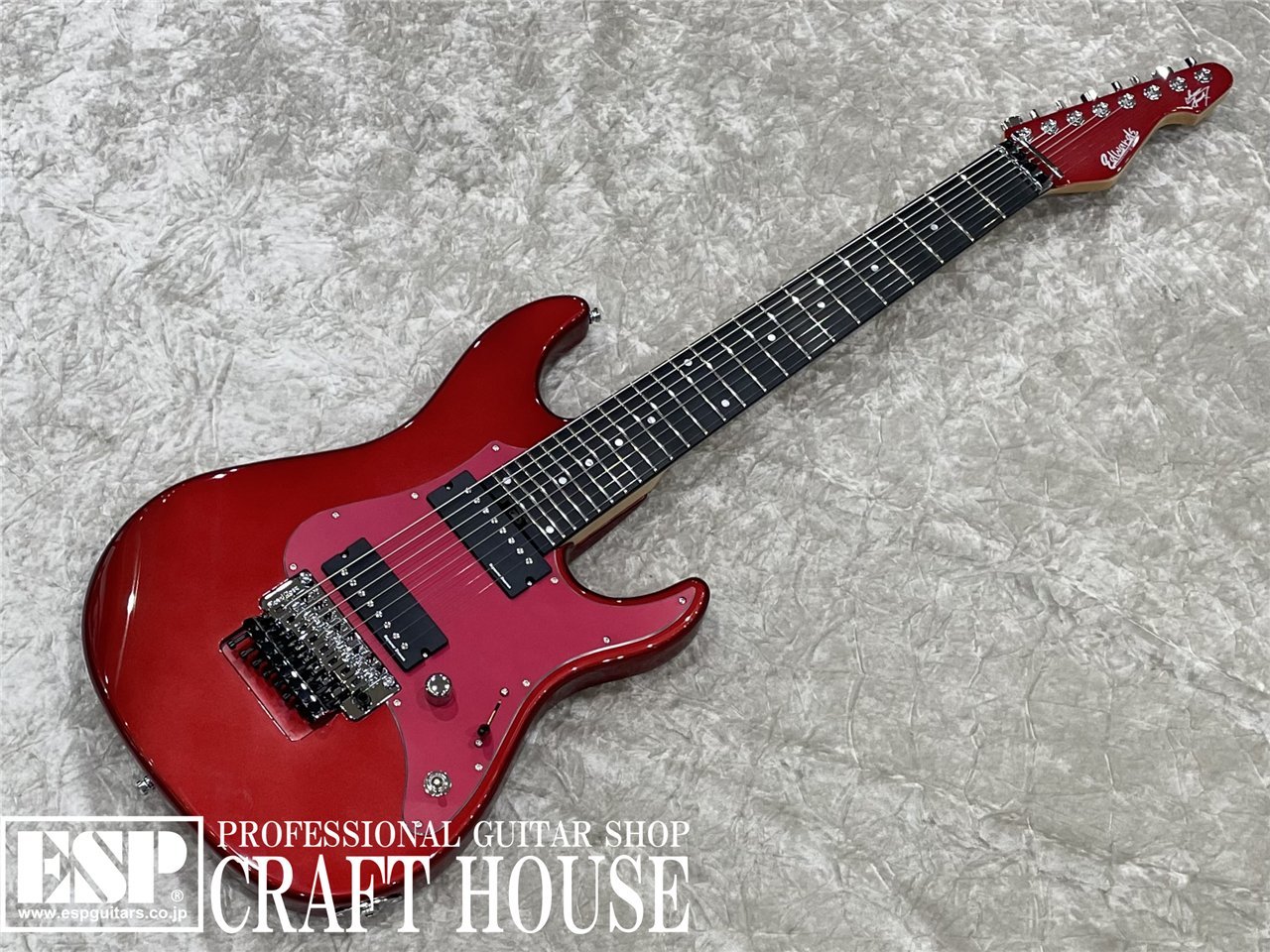楽天市場】Edwards E-SG-120LT2 新品 ブラック[エドワーズ][国産][ESP