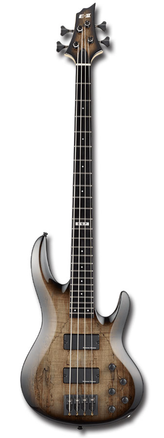 楽天市場】【ESP直営店】E-II BTL-5 Black Natural Burst