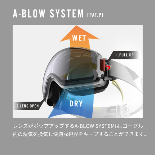 トラディショナルウェザーウエア 新品 SWANS ゴーグル RIDGELINE-MDH