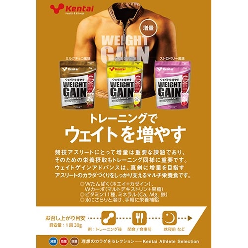 Kentai - 国内製造ケンタイ ウェイトゲインアドバンス ミルクチョコ