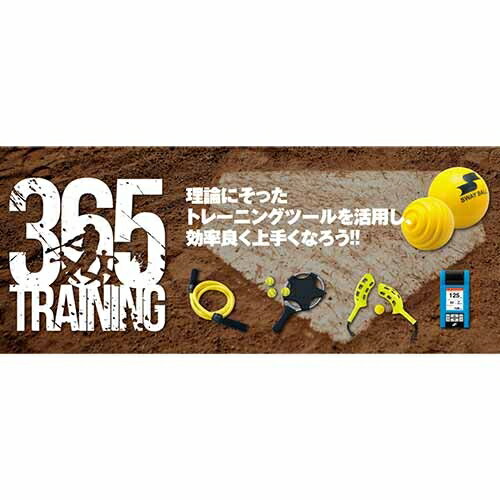 エスエスケイSSKアイシングベルトYTR24