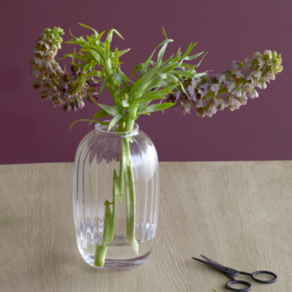 楽天市場】ホルムガード ガラスベース アンバー 16cm【国内正規