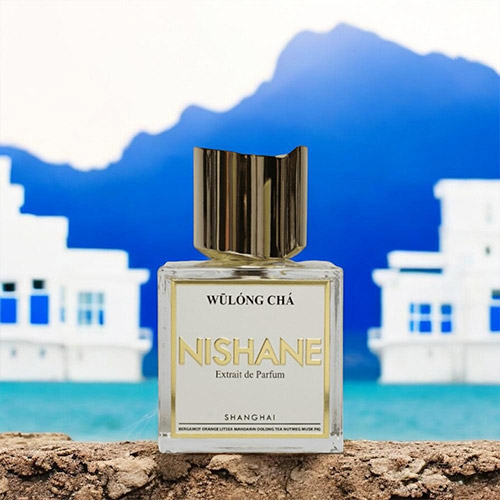 楽天市場】ニシャネ ウーロン茶 （烏龍茶） エキストレドゥ