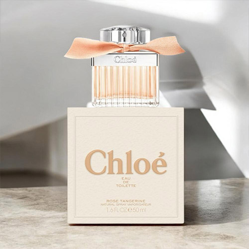 楽天市場】【先着限定☆最大1200円OFFクーポン配布&抽選100％ポイント