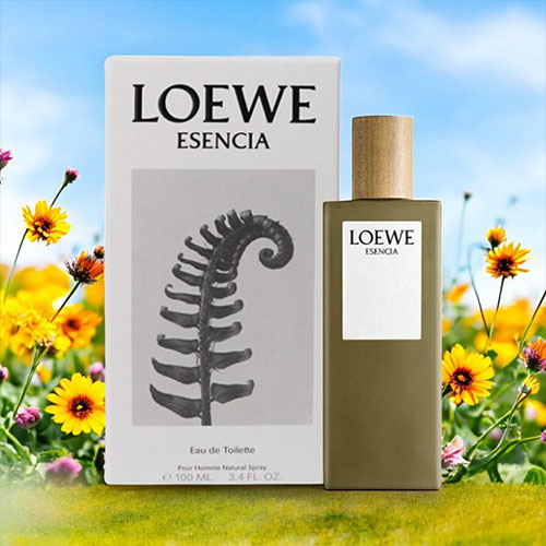 ロエベ LOEWE エセンシア オードトワレ EDT 100ml ESENCIA 香水 レディース フレグランス ギフト プレゼント
