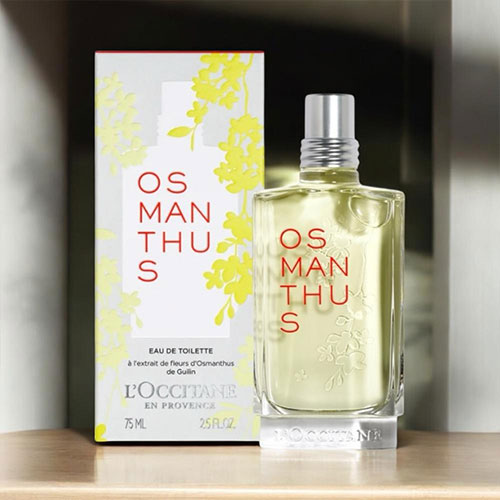 楽天市場】ロクシタン L'OCCITANE テール ド ルミエール