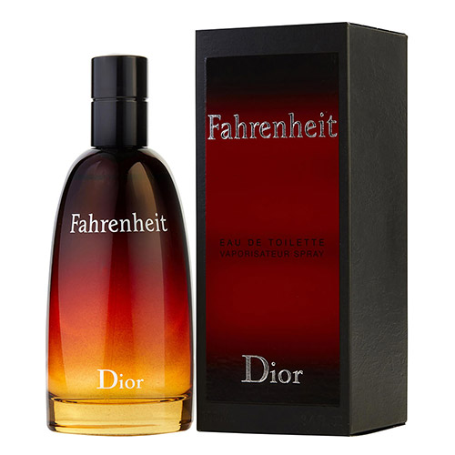 Web限定 香水 メンズ クリスチャンディオール ファーレンハイト Edt Sp 100ml Christian Dior Fahrenheit フレグランス ギフト あす楽 人気ブランド Www Labclini Com