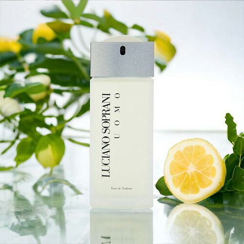 楽天市場】ルチアーノ ソプラーニ LUCIANO SOPRANI 香水 100ml ウォモ