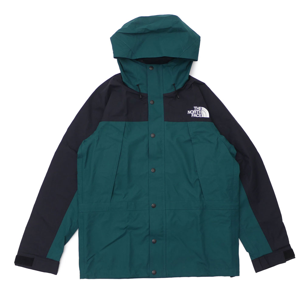 the north face mountain lite hoodie