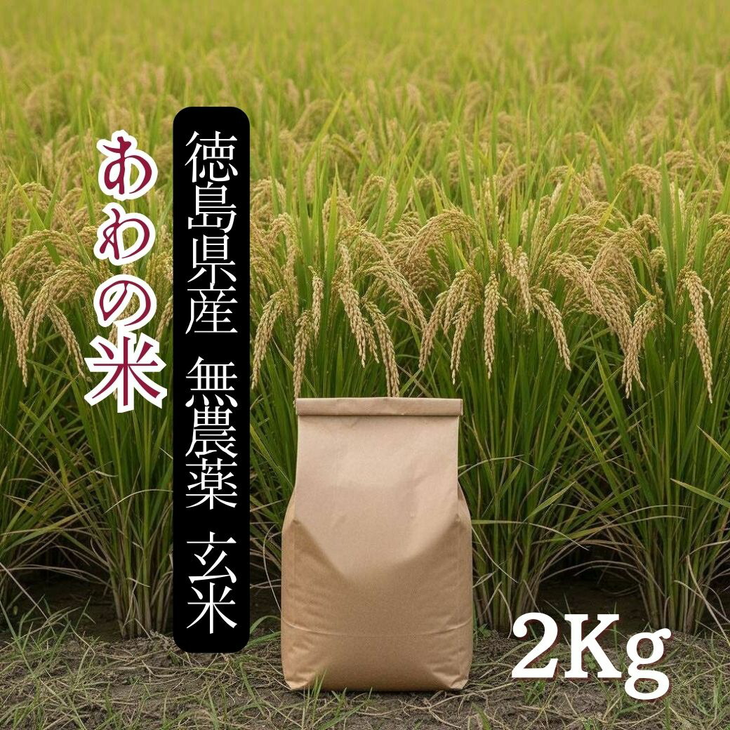 【自宅用・ラッピングなし】無農薬 玄米 コシヒカリ 2kg 徳島県産 自然栽培