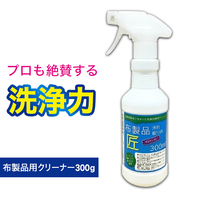 24H限定 ビアンコジャパン(BIANCO JAPAN) エフロクリーナー