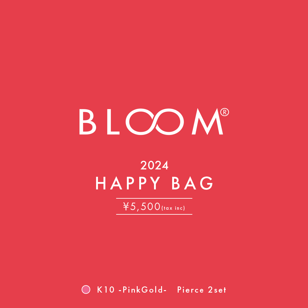 楽天市場】【 WEB限定商品 】 2024福袋 HAPPY BAG ピアス レディース