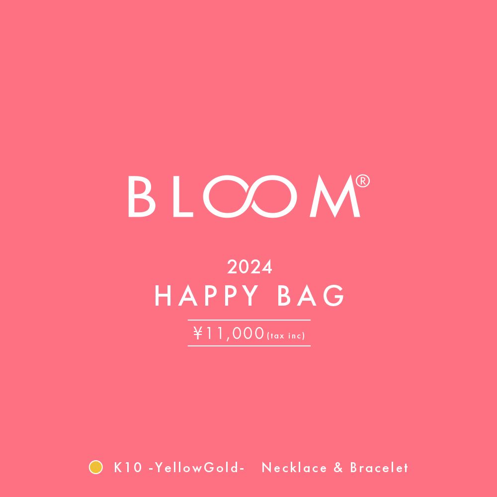 楽天市場】【 WEB限定商品 】 2024福袋 HAPPY BAG ピアス レディース
