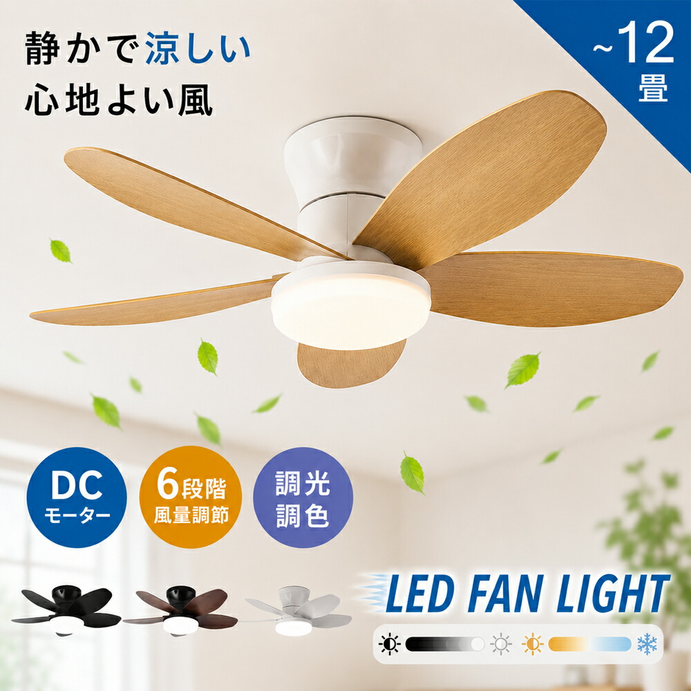 SS大売り出し執り行なう中！1点ご買いもとめるで10%OFF、2点で12%OFF 写し物