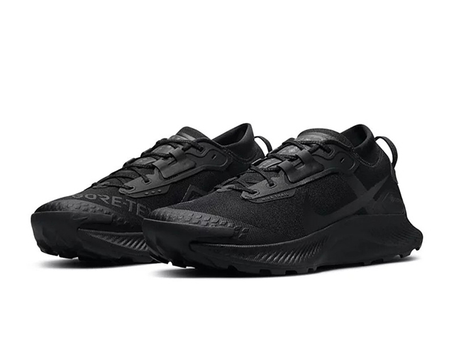 NIKE ACG MOUNTAIN FLY2 GTX 箱あり 新品未使用 箱付き NIKE ナイキ ACG マウンテンフライ2 ロー