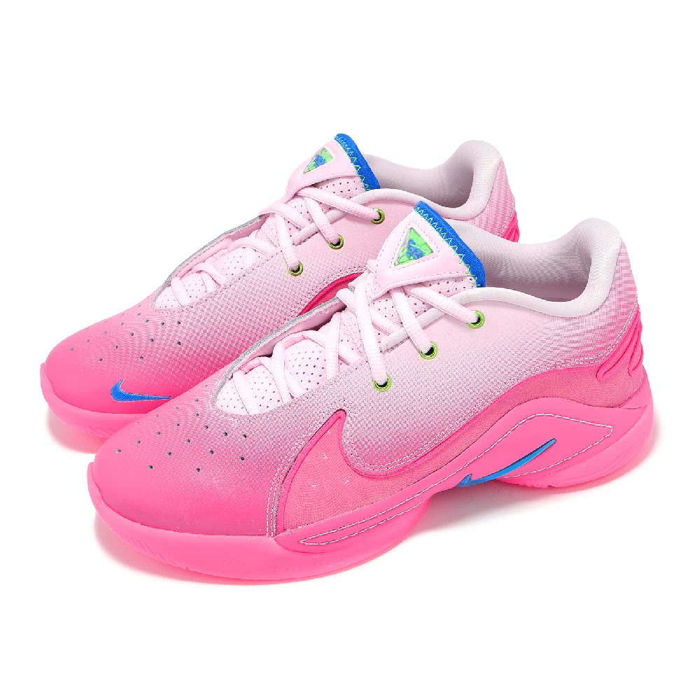 NIKE LEBRON XXII SN GSナイキ キッズ、レディースシューズ  25-03-S #80