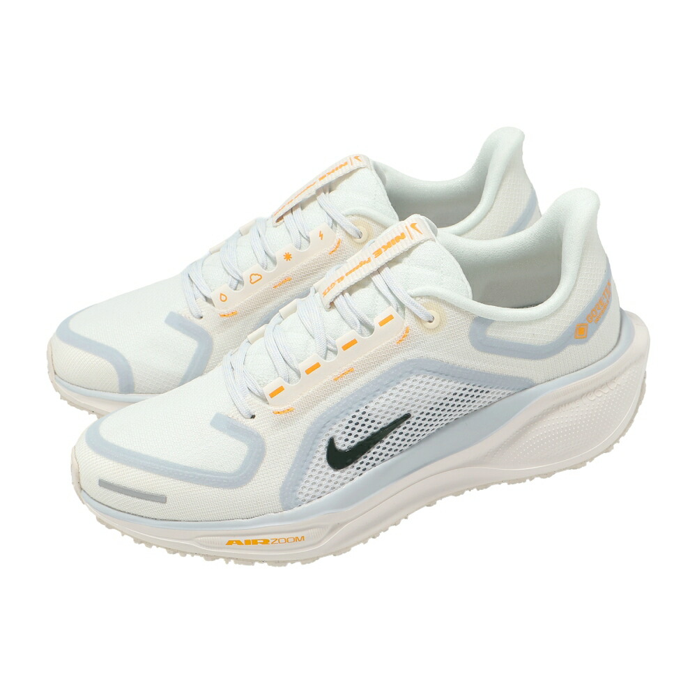 NIKE WMNS AIR ZOOM PEGASUS 41 GTXナイキ レディースランニングシューズ 25-12-S#70
