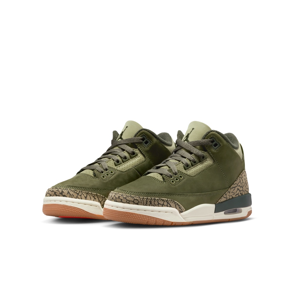NIKE AIR JORDAN 3 RETRO GS ナイキ   キッズ、レディースシューズ  26-01-S#70