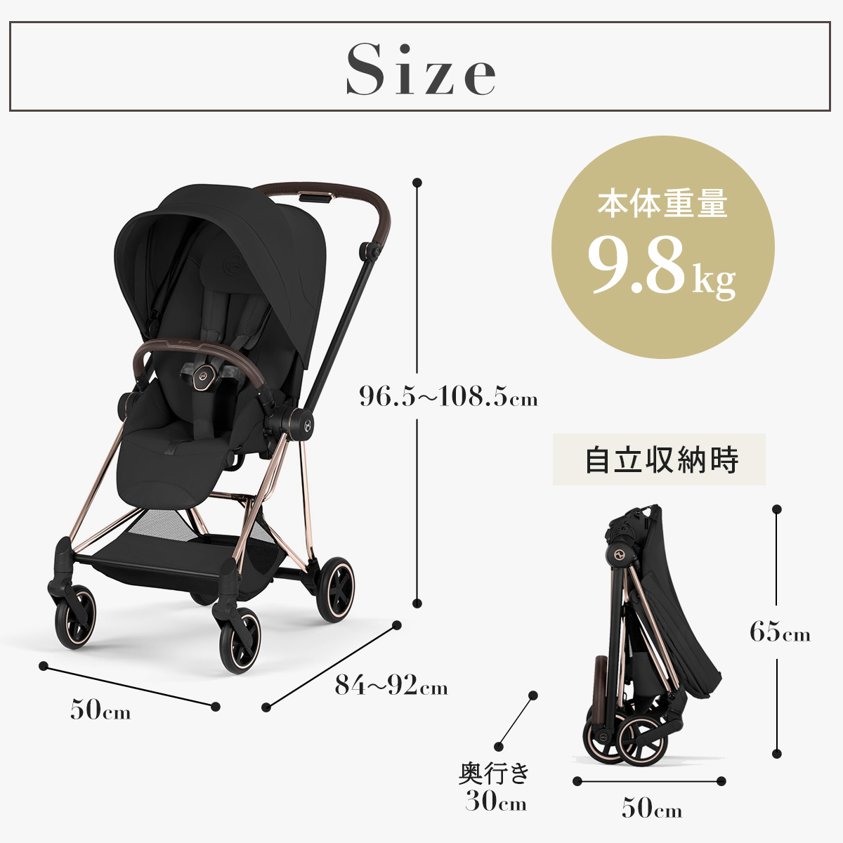 最大10万ポイント当たる／ 2026最新 サイベックス ミオス スタイル