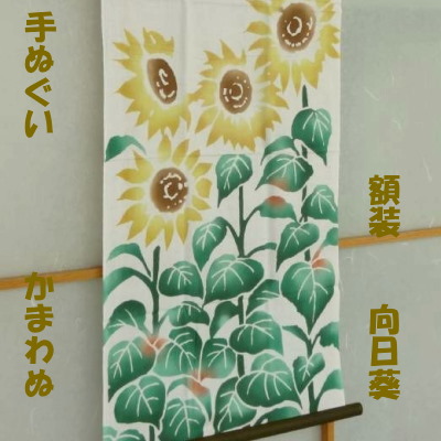 楽天市場 手ぬぐい 額装 向日葵 ヒマワリ 手拭いひまわり 注染 かまわぬ てぬぐい 夏柄 えすみshop