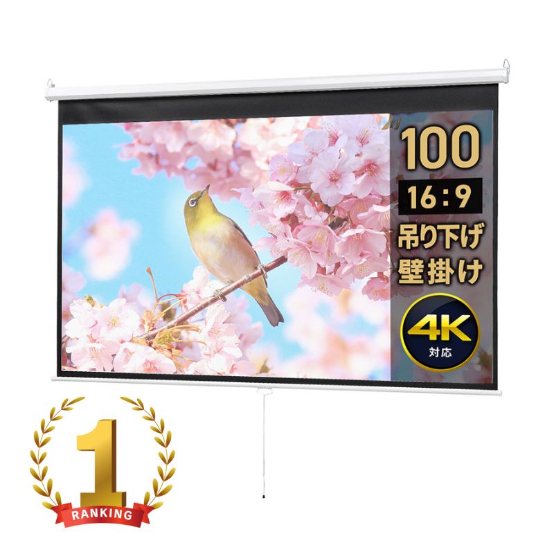 イーサプライ プロジェクター スクリーン EEX-PST3-100HDK プロジェクタースクリーン （100インチワイド・4K・吊り下げ式