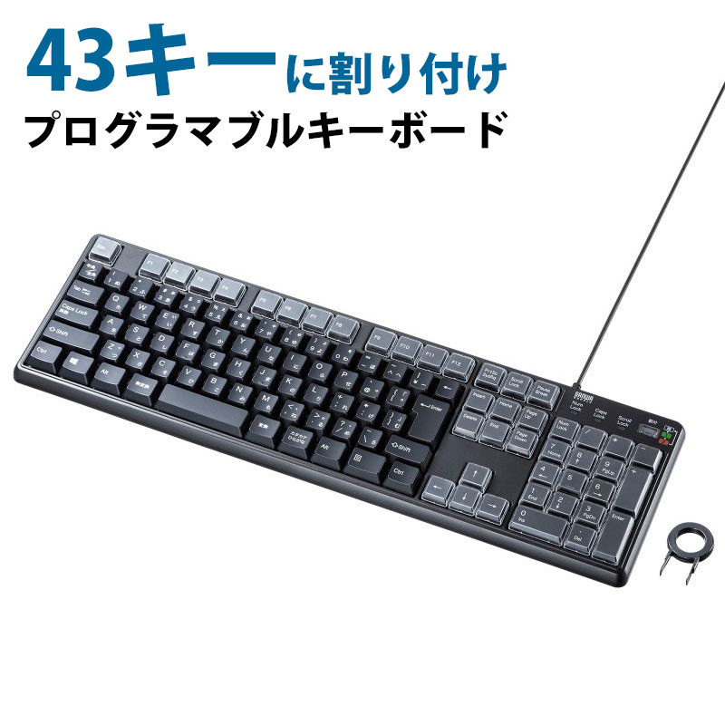【最大2000円OFFクーポン配布中】【訳あり 新品】プログラマブルキーボード 43キー 割付 メンブレン 有線接続 ブラック SKB-P1BK サンワサプライ ※箱にキズ、汚れあり
