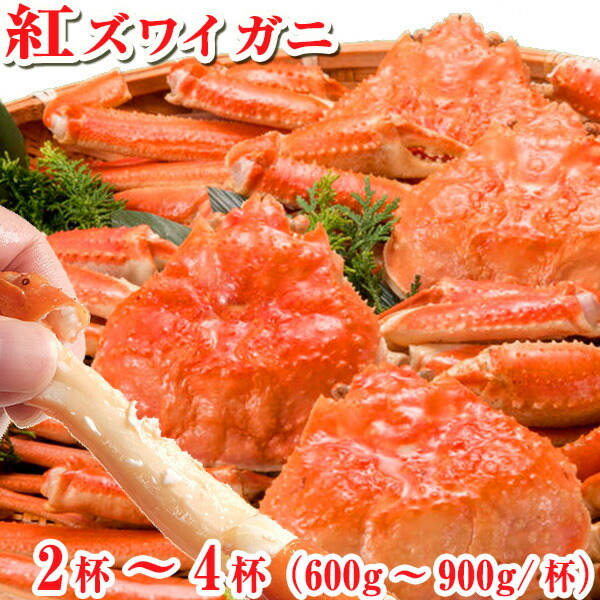【送料無料 未冷凍 茹かに】 紅ズワイガニ 大4杯/大3杯/大2杯 (600g～900g/杯) 富山 ボイル 姿 蟹 滑川産地より直送 ベニズワイガニ ゆでがに 茹で蟹 かに カニ 紅ズワイ 富山の紅ずわいがに ギフト 富山 お土産 お歳暮 誕生祝 12,660円