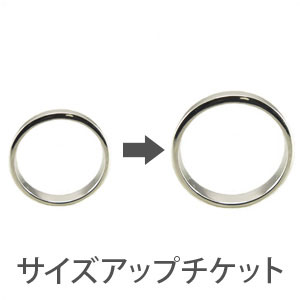 リングサイズアップチケット