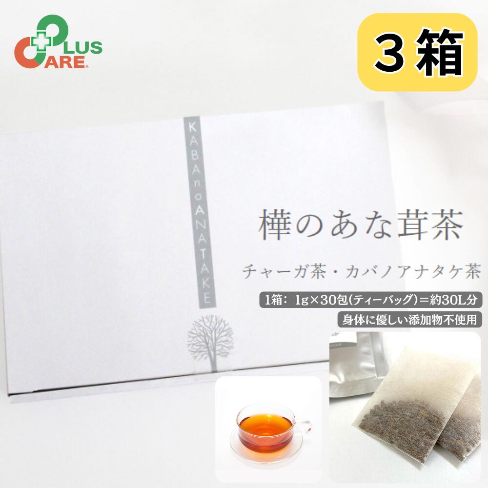 ゆ～み乾燥済 北海道産 カバノアナタケ カバノアナタケ茶 塊(原体)300g | 吉粋(きっすい) 北海道から全国へ