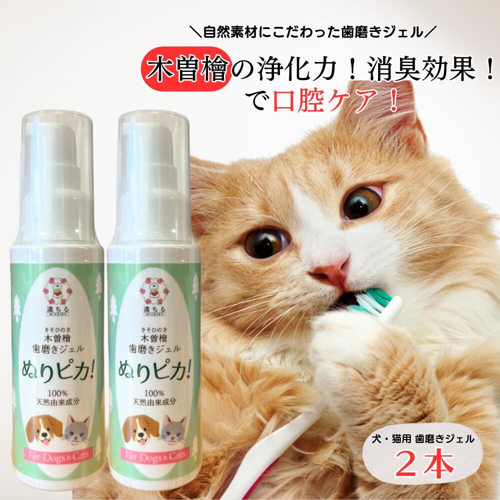 樺のあな茸茶や、カバノアナタケエキス練り合わせるの天恵クオリティソープやローション剤