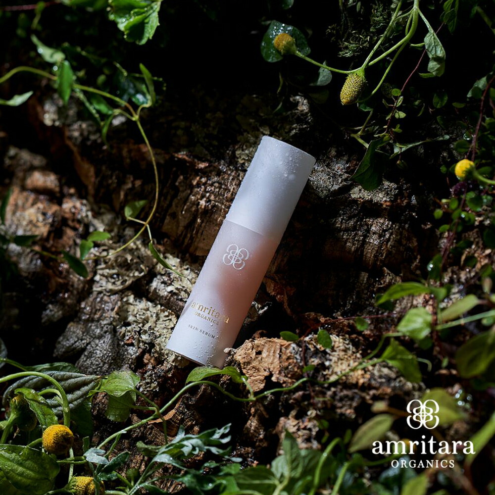 楽天市場】【2/25限定！抽選で最大100%ポイントバック】クレメンス