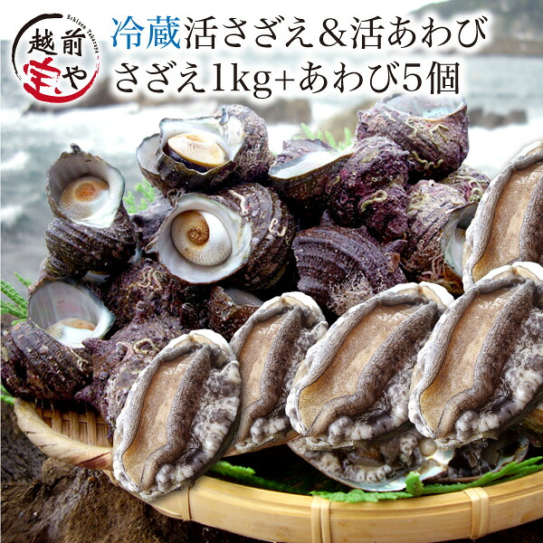 活 サザエ 送料無料 1.0kg (約10～20個)＆ 活 アワビ 5個 (1個50～60ｇ 養殖) セット【冷蔵】さざえ あわび バーベキュー 海鮮 バーベキュー 刺身 壺焼き 炊き込みごはん 産地直送 海鮮 プレゼント 贈答 訳あり ギフト 贈り物 鮮魚 詰め合わせ 宝や｜福井の干物・西京漬専門 越前宝や