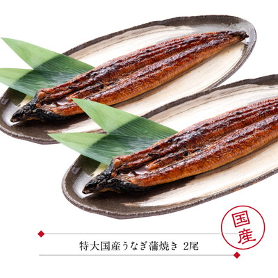 うなぎ 蒲焼 国産 特大 2尾 セット レンジ 魚 温めるだけ 電子レンジ 湯せん 調理 お惣菜 詰め合わせ 送料無料 冷凍 レンジ 温めるだけ 内祝い 内祝 お返し 出産 ギフトセット グルメカタログ 風呂敷 お誕生 惣菜 魚 宝や Marcsdesign Com