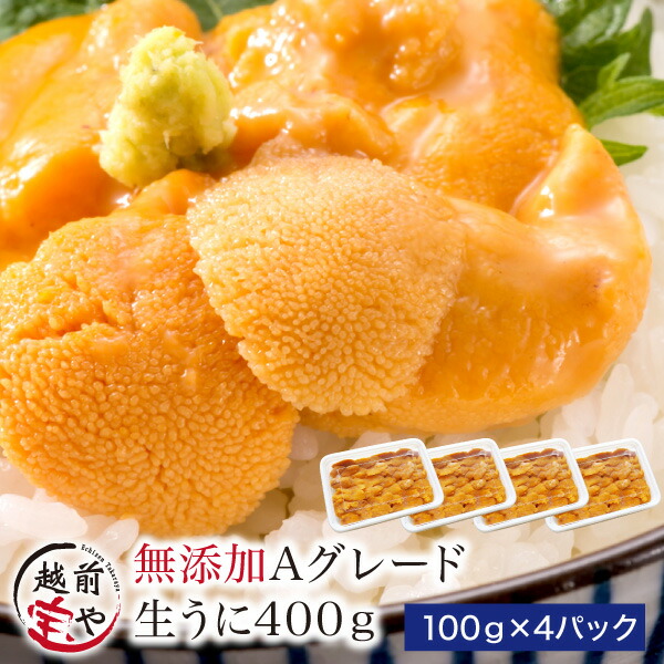 ★月間優良ショップ受賞★ 生食用 うに 無添加・Ａグレード 400g (100ｇ×4) 送料無料【冷凍】ウニ 雲丹 ギフト 贈答 内祝 お祝い 御礼 誕生日 プレゼント