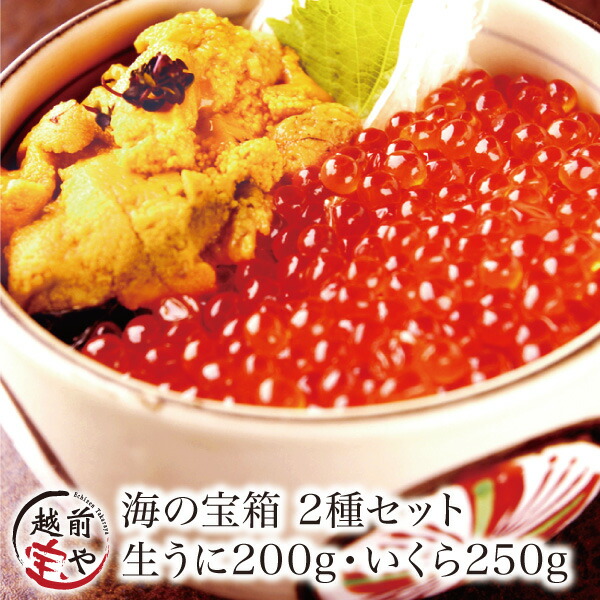 ギフト ★月間優良ショップ受賞★  海の宝箱 海鮮 2種 セット 送料無料【冷凍】 プレゼント 送料無料 生うに ウニ 100g×2 ＆ いくら イクラ 醤油漬け 250g×1  贈答 内祝 お祝い 御礼 誕生日 海鮮丼 漬け丼 海鮮丼の具 内祝い 結婚祝い 還暦祝い 御礼