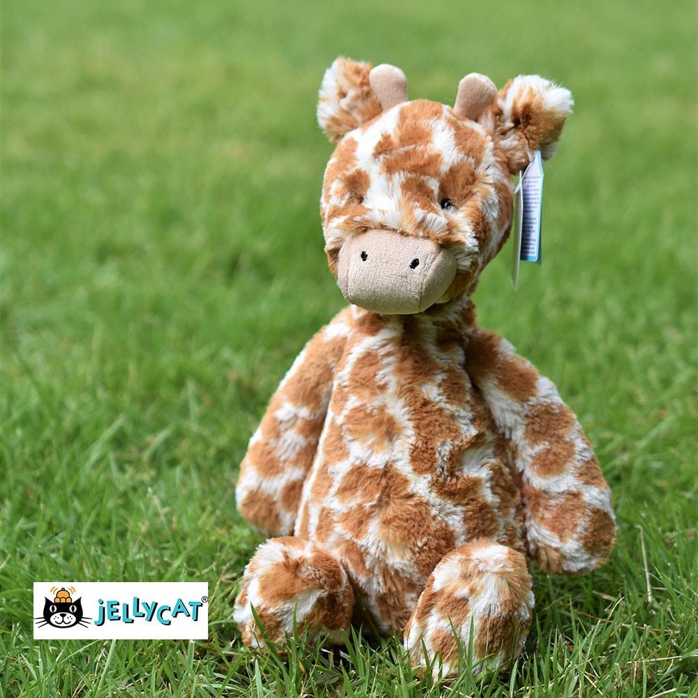 jellycat bashful giraffe