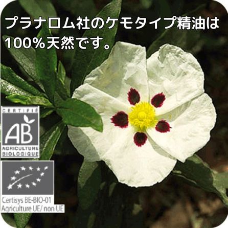 激安特価 精油は癒し以外の効能も 天然の無添加オーガニック ケモタイプ で安全 安心のアロマテラピー エッセンシャルオイル 農薬検査済み 成分分析表付き P 36 5ml ロックローズ プラナロム アロマオイル 精油 送料無料 Pranarom エッセンシャルオイル 精油