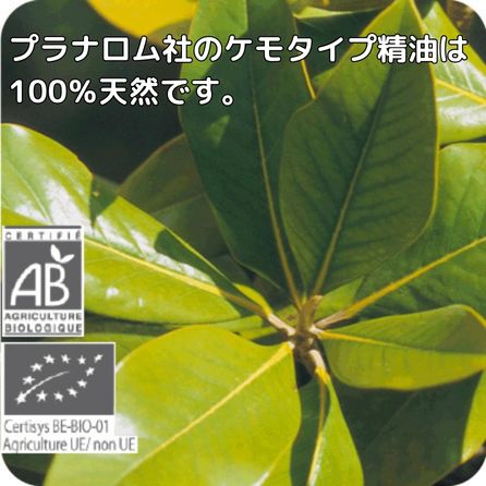 楽天市場 プラナロム プチグレン 10ml P 38 成分分析表付き 農薬検査済み エッセンシャルオイル で安全 安心のアロマテラピー ケモタイプ 天然 自然の無添加オーガニック アロマオイル Pranarom 送料無料 精油 エトワールライフ