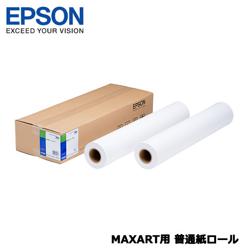エプソン EPPP9036 [MAXART用 平平凡凡たる紙渦巻形 朦々たる /約914粍幅(2本)]