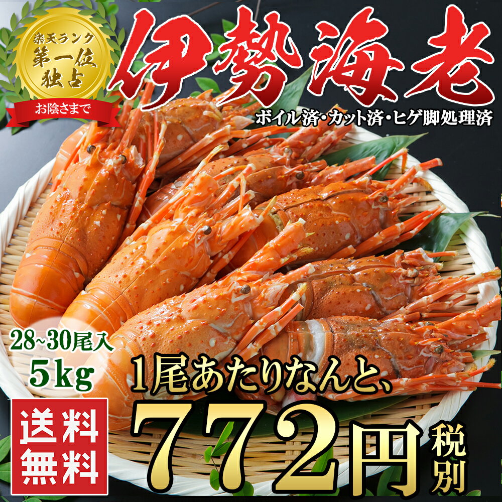 楽天市場 伊勢海老 約25 30尾 5kg 1尾あたり771円 昨年は4万尾完売 高級 伊勢エビ 便利なボイル済 少し小さくてもプリプリ食感と濃厚なお味 ヒゲ折れ 少しだけ訳あり イセエビ 冷凍 送料無料 楽天ランキング1位 うまいもんグルメ卸売直販えつすい