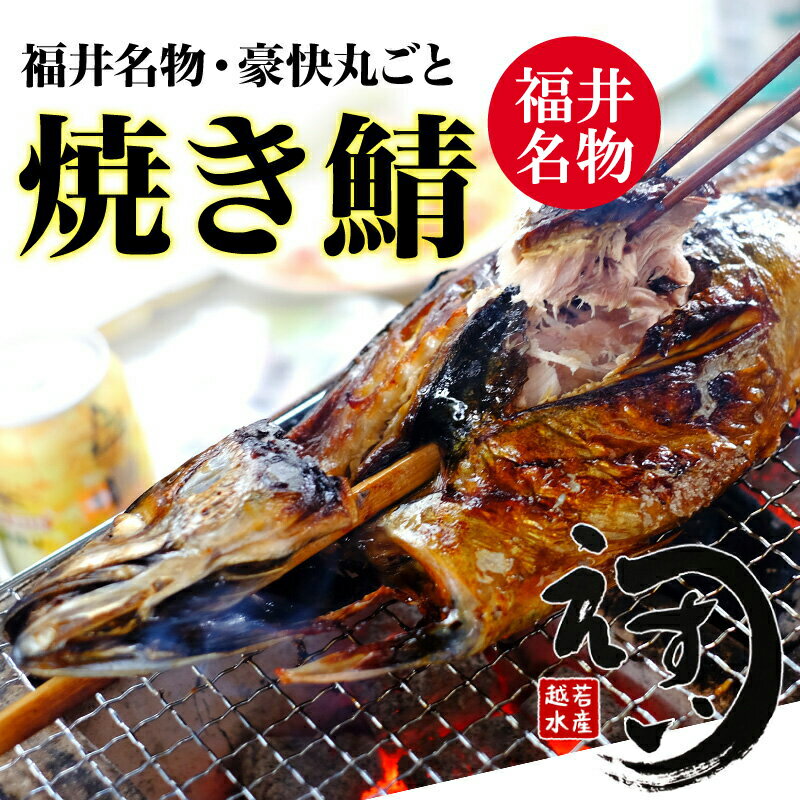 楽天市場】【楽天1位】浜焼き鯖 1本 2本 3本【動画あり】丸焼き鯖 焼き