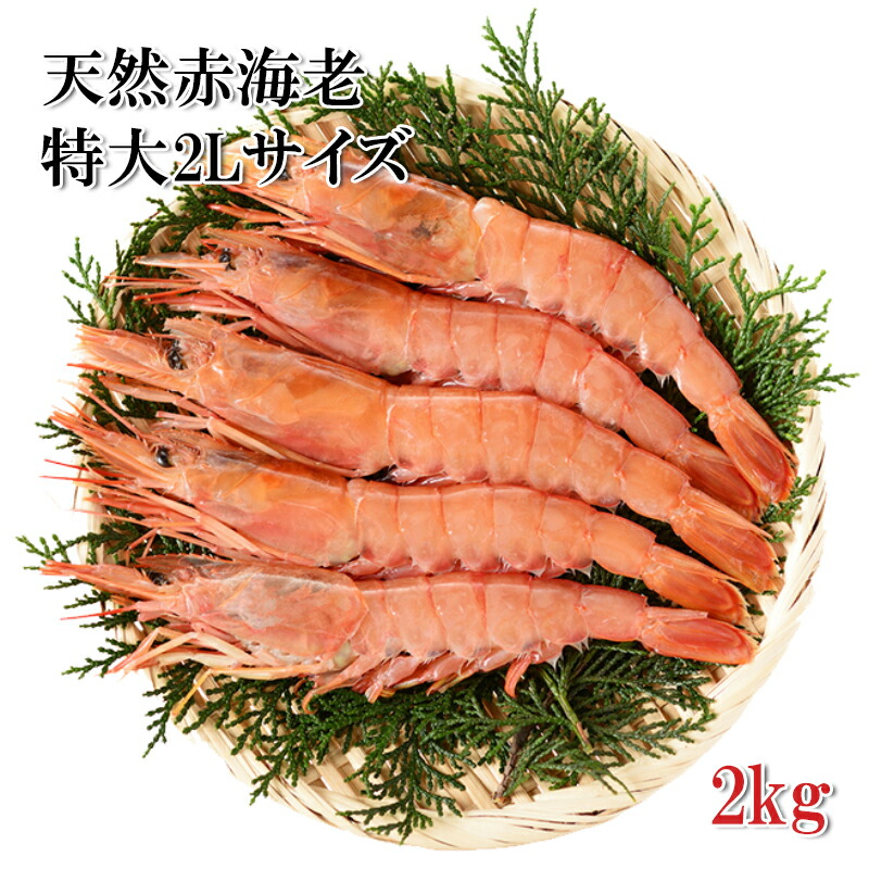 akaebi-2kg.jpg akaebi-2kg.jpg