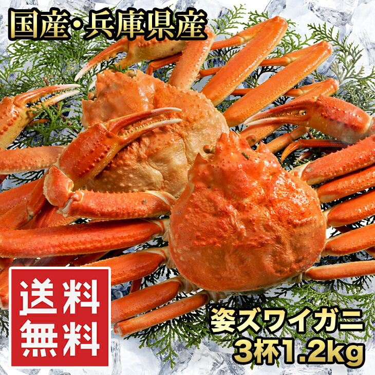 (全品5%還元) 【アウトレット価格】 カニ 兵庫県産 浜茹で香住がに (紅ズワイガニ) 姿 3杯 1.2kg 脚折れがある場合ありかに ボイル 冷凍 姿 蟹 国産 紅ズワイガニ 香住産 楽天ランキング1位 送料無料