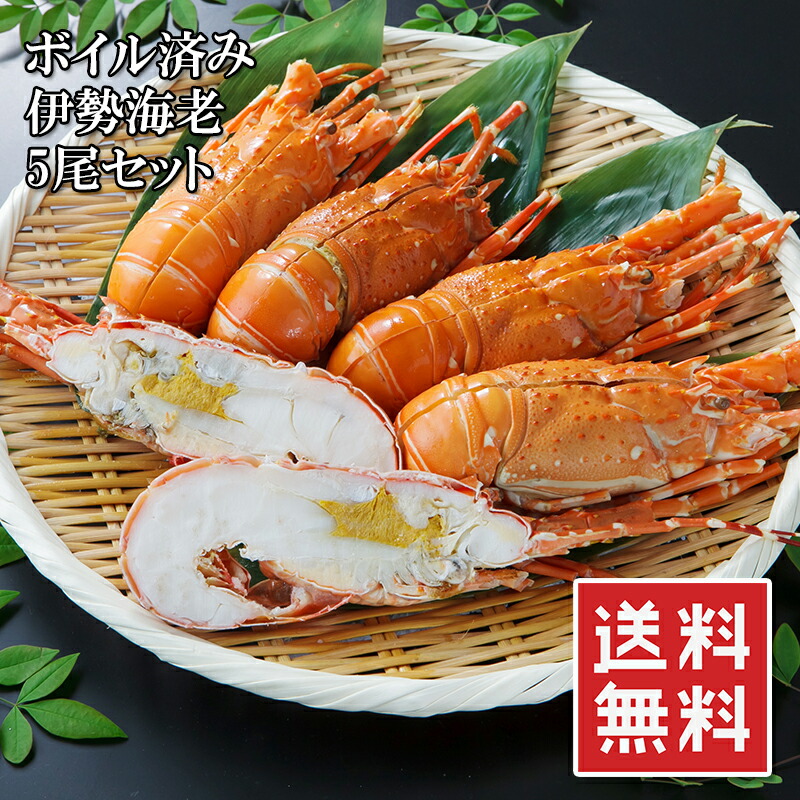 伊勢海老　5尾　約1kg　便利なハーフカット済＆ボイル済　冷凍　送料無料　イセエビ　父の日　楽天ランキング1位-　少し小さくてもプリプリ食感と濃厚なお味　伊勢エビ　少しだけ訳あり　ギフト　高級　ヒゲ折れ