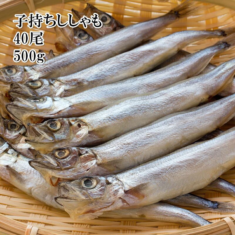 どれでも5品で送料無料 子持ちカラフトししゃも 40尾 500g シシャモ ...