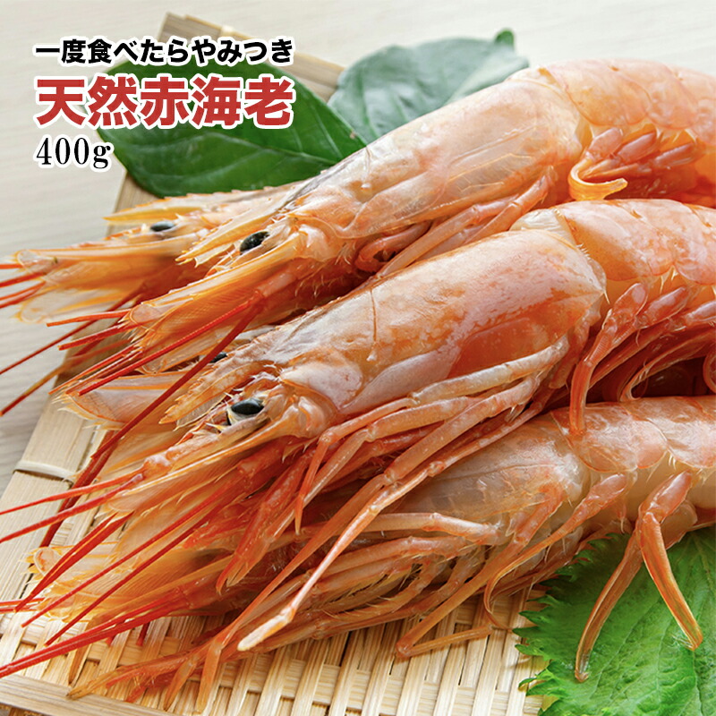 [どれでも5品で送料無料] 赤海老 えび 大型 天然 400g 500g 1kg 2kg【楽天ランキング1位】生食用 刺身 刺身用 ガーリックシュリンプ 海老パスタ 酒蒸し 海老マヨ トムヤムクン パエリア 味噌汁 バター炒め BBQ 手巻き寿司 贈答用 贈答 ギフト 父の日 あす楽 送料無料 冷凍★
