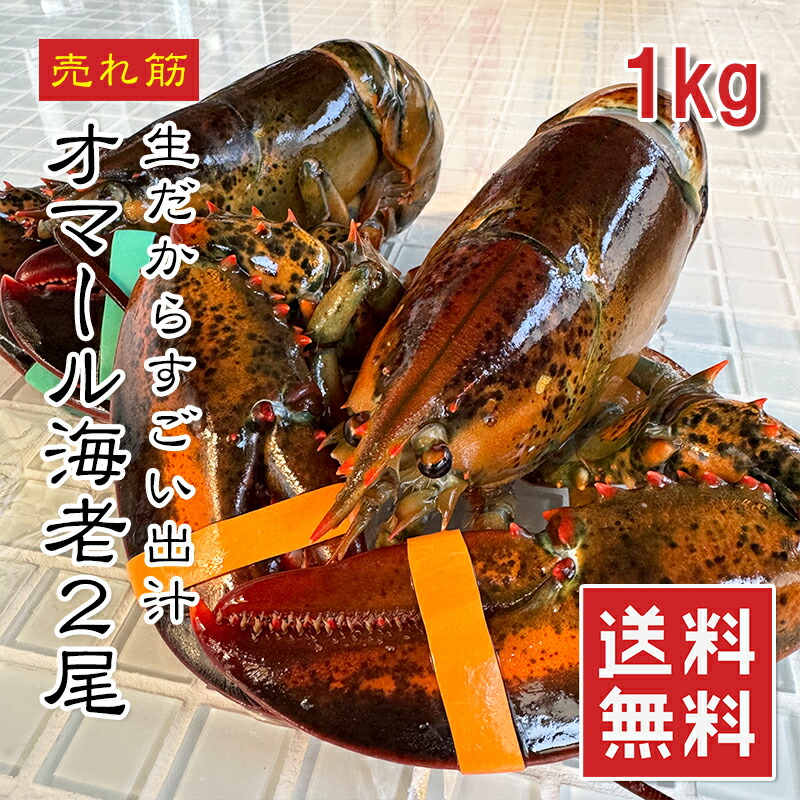 オマール海老 1kg 天然 2セットで1尾プレゼント【楽天ランキング1位】【動画あり】大型 2尾 3尾 爪折れ わけあり カナダ産 ホール ロブスター 海老 エビ えび 生冷 パーティー バーベキュー BBQ グリル焼き 生エビ 生海老 お取り寄せ オマール 海老 グラタン 送料無料 冷凍★