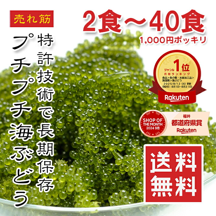 楽天市場】[どれでも5品で送料無料] イカネギトロサーモン 300g